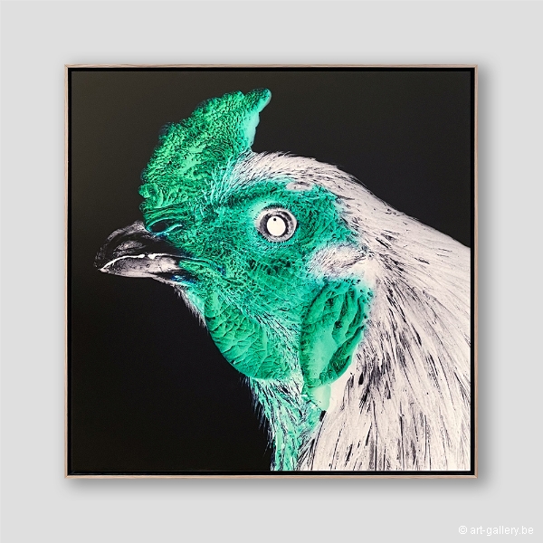 VANMECHELEN Koen - Cosmopolitan Chicken